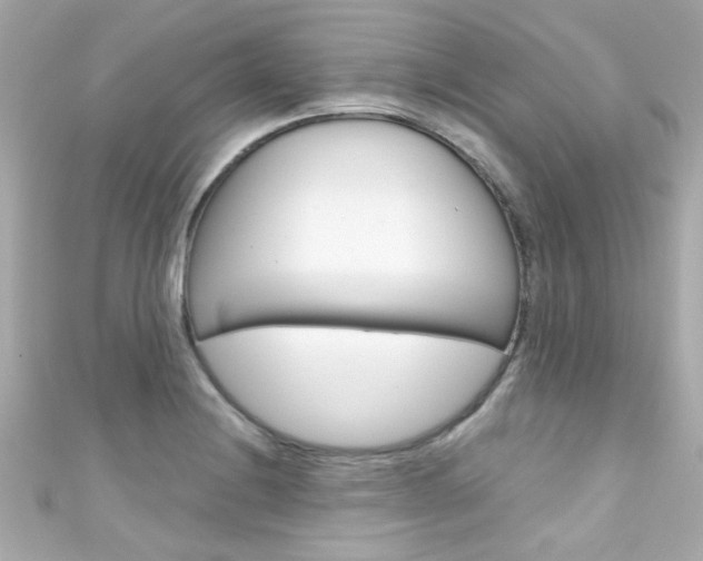 X0000111591228200907161146