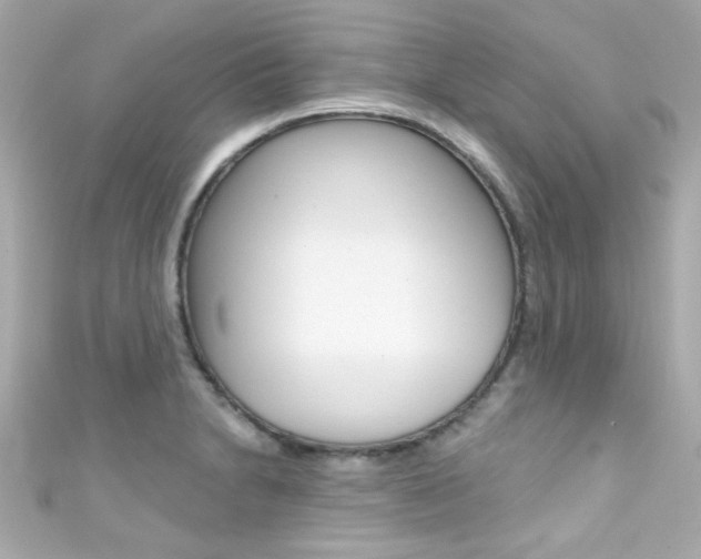 X0000111591230200907161146