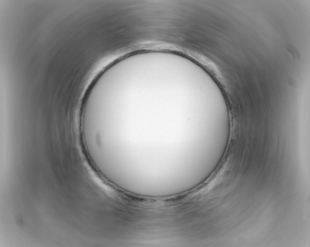 X0000111591231200907161146