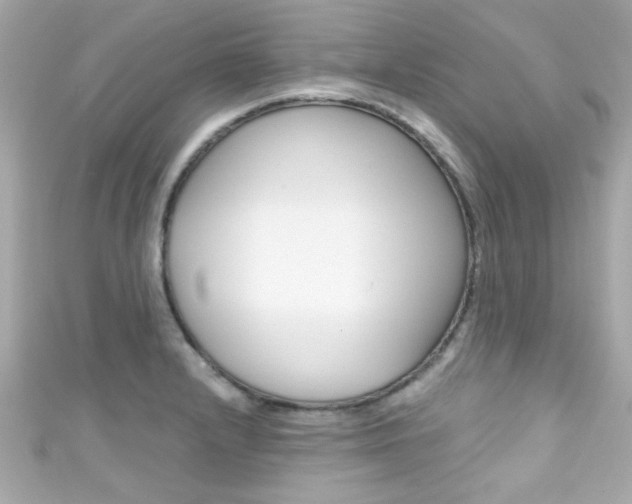 X0000111591232200907161146