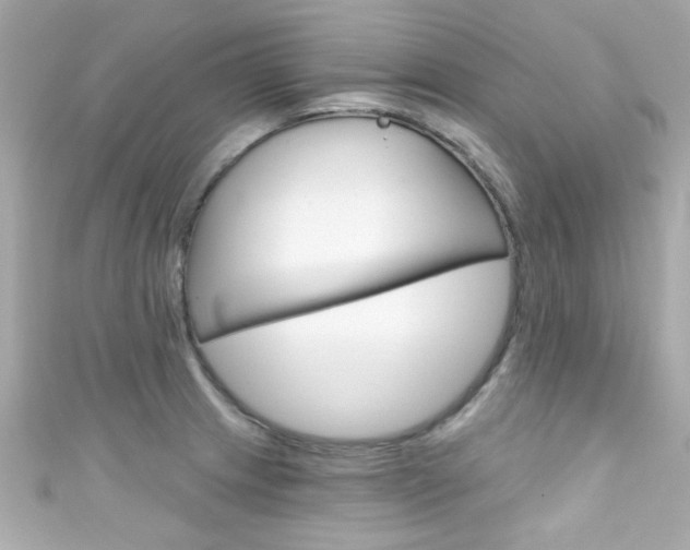 X0000111591233200907161146