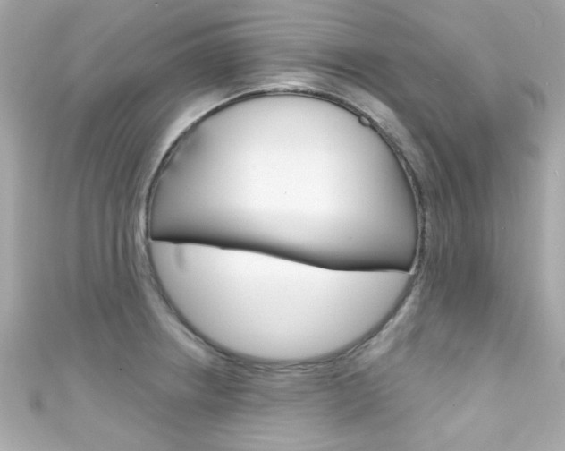 X0000111591234200907161146