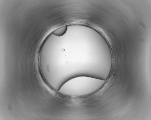 X0000111591235200907161146