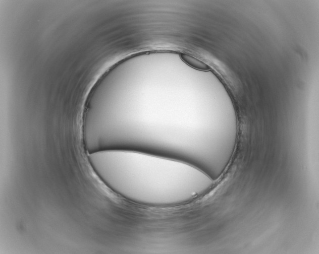X0000111591236200907161146