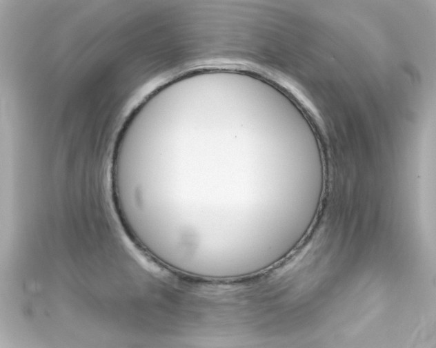 X0000111591237200907161146