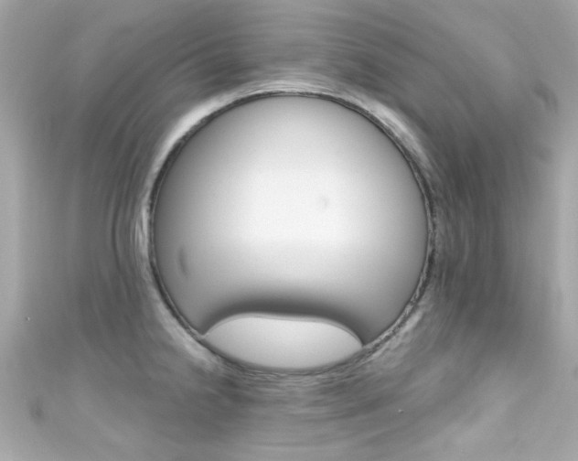 X0000111591238200907161146