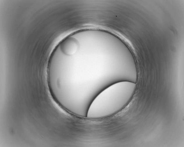 X0000111591239200907161146