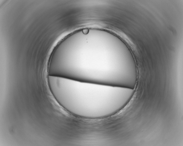 X0000111591240200907161146