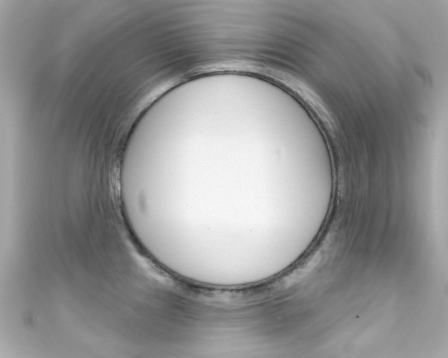 X0000111591241200907161146