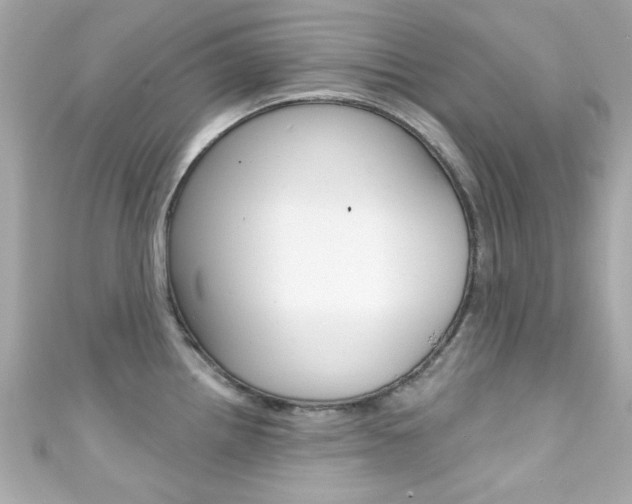 X0000111591242200907161146