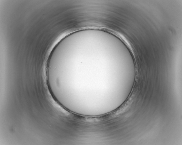 X0000111591243200907161146