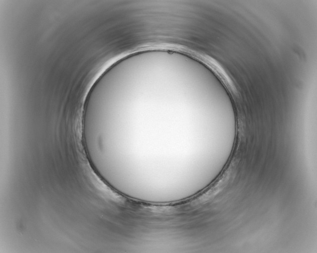 X0000111591244200907161146