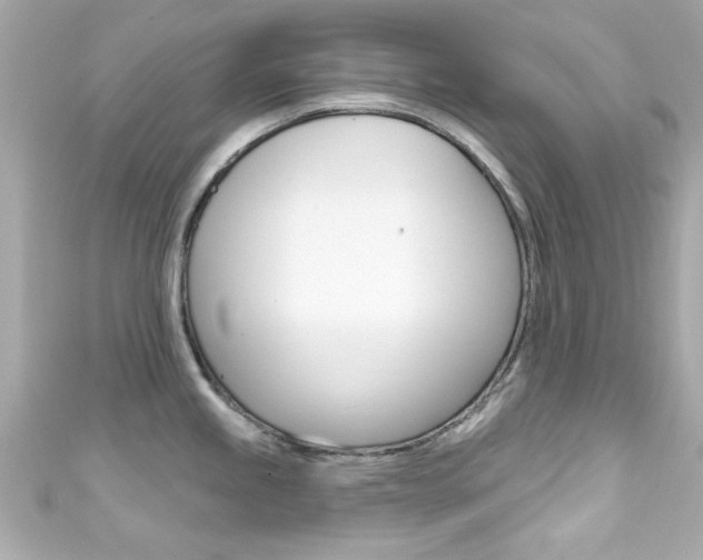 X0000111591245200907161146