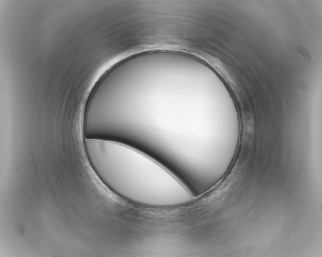 X0000111591246200907161146
