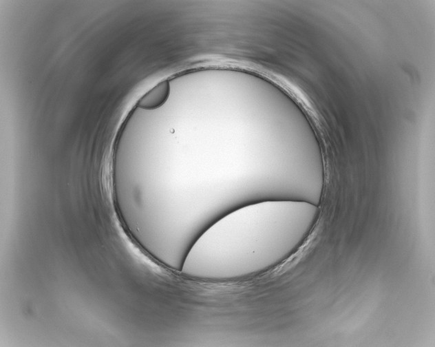 X0000111591247200907161146