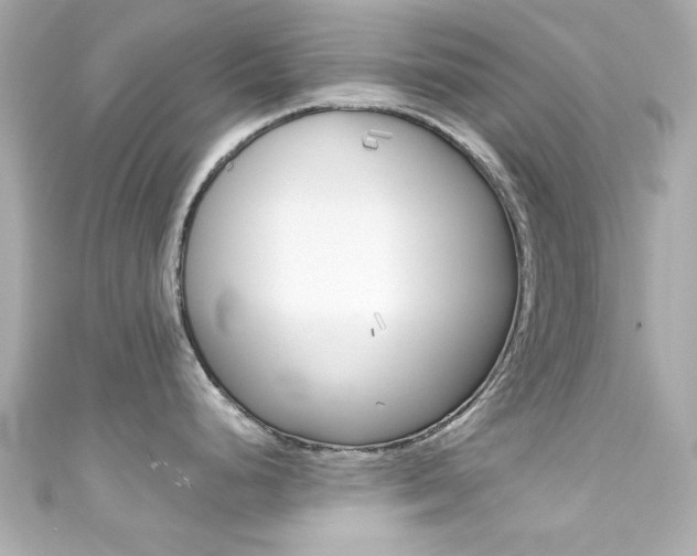 X0000111591248200907161146