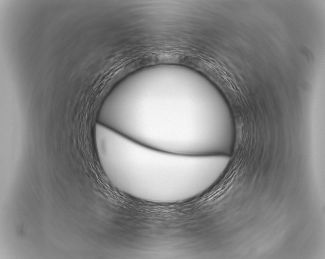 X0000111591249200907161146
