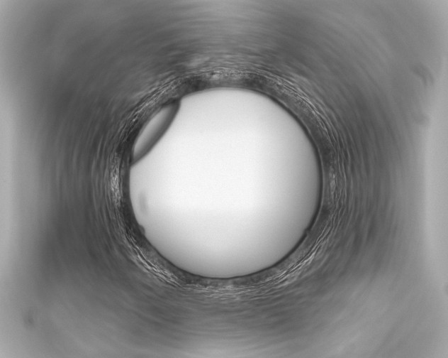 X0000111591250200907161146