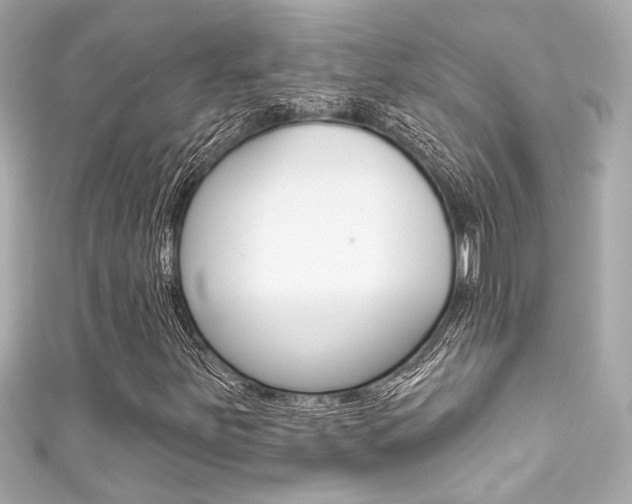 X0000111591251200907161146