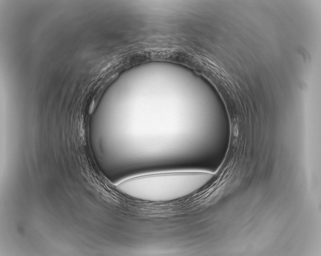 X0000111591252200907161146