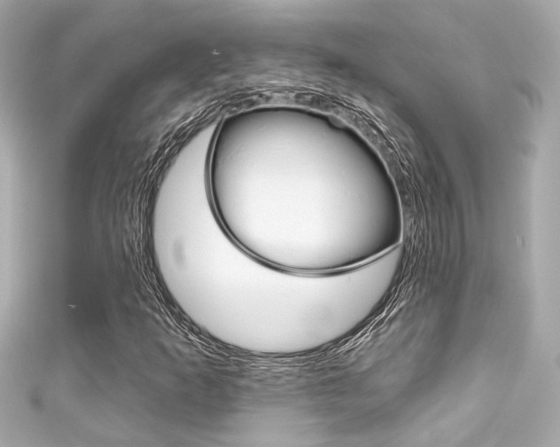 X0000111591253200907161146