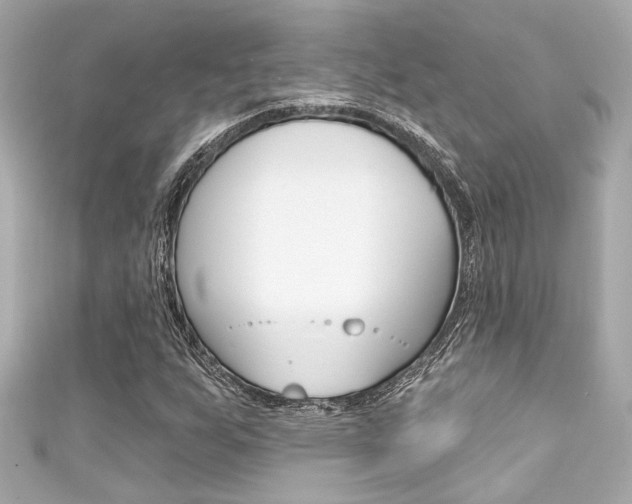 X0000111591255200907161146