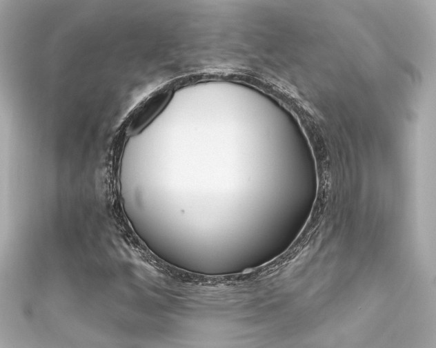 X0000111591256200907161146