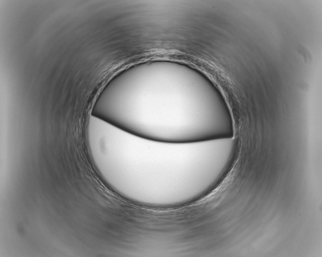 X0000111591257200907161146