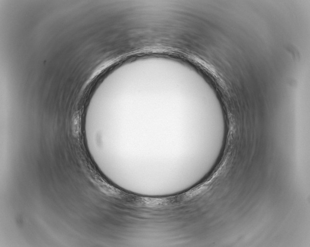 X0000111591258200907161146