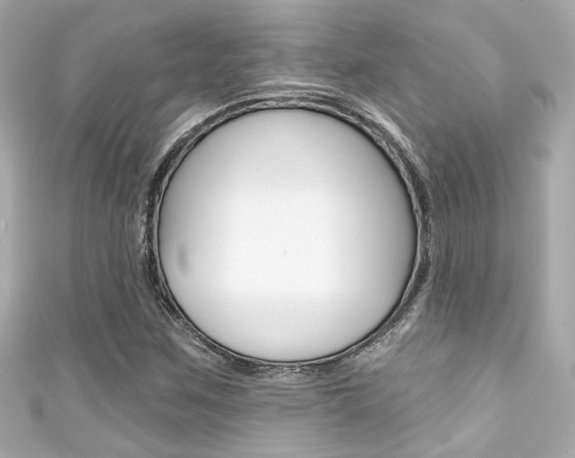 X0000111591259200907161146
