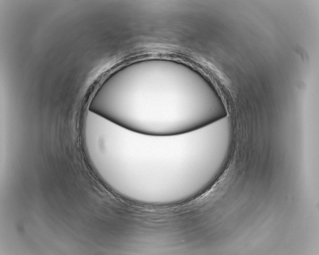 X0000111591261200907161146