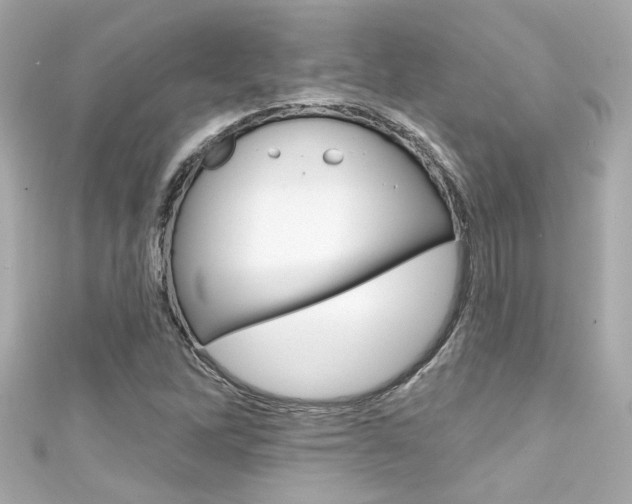 X0000111591262200907161146