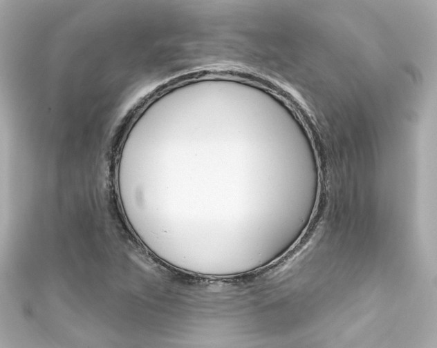 X0000111591263200907161146