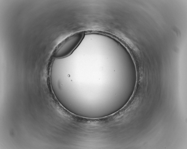 X0000111591264200907161146