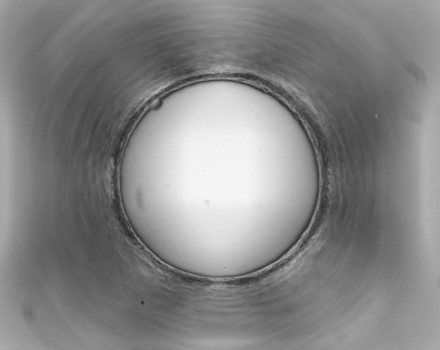 X0000111591265200907161146