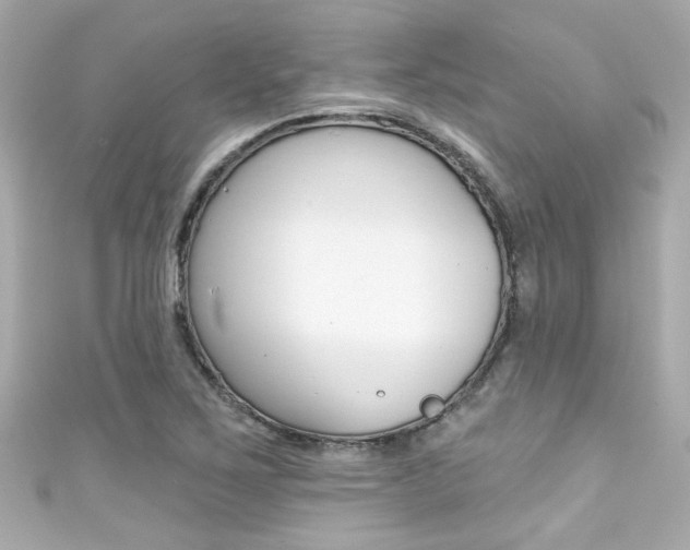 X0000111591267200907161146