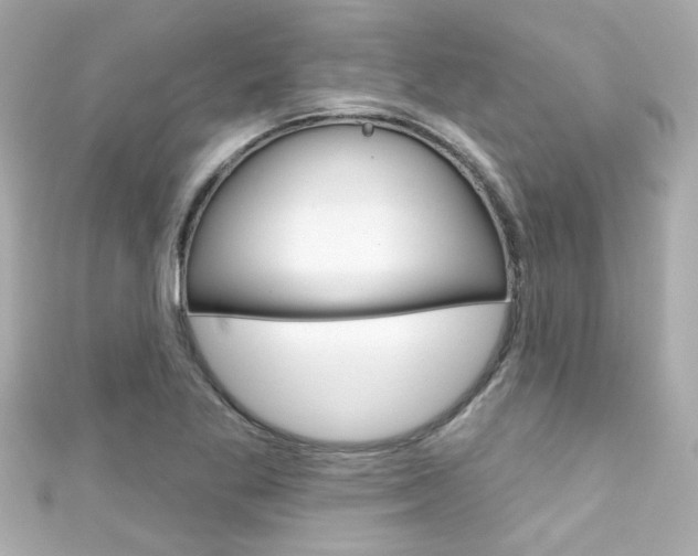X0000111591269200907161146