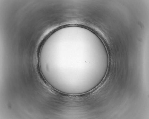 X0000111591270200907161146