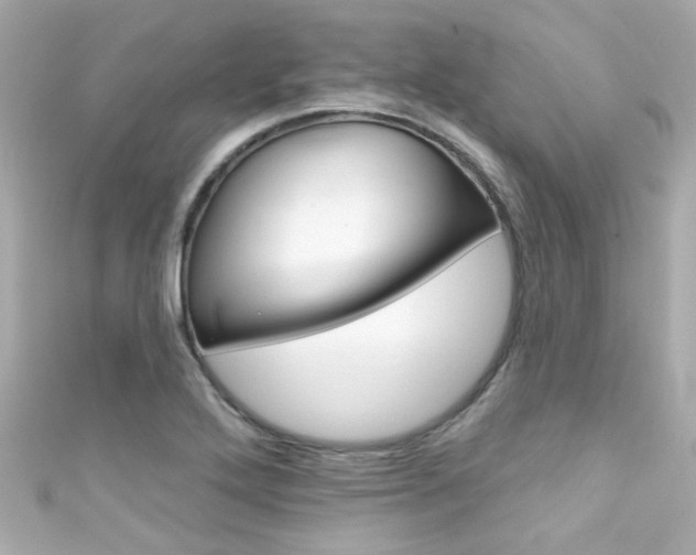 X0000111591272200907161145