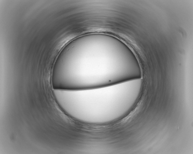 X0000111591273200907161145