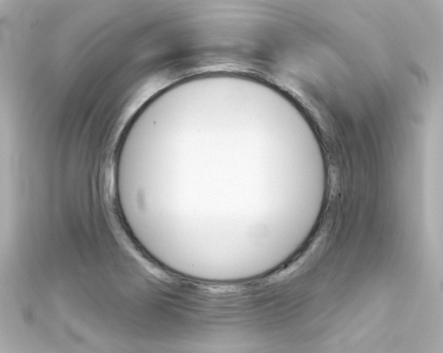 X0000111591274200907161145