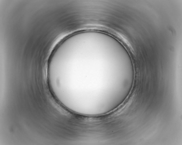 X0000111591275200907161145