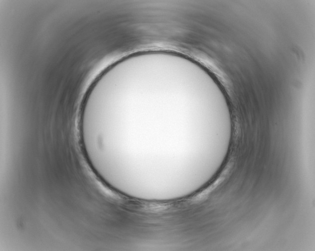 X0000111591278200907161145