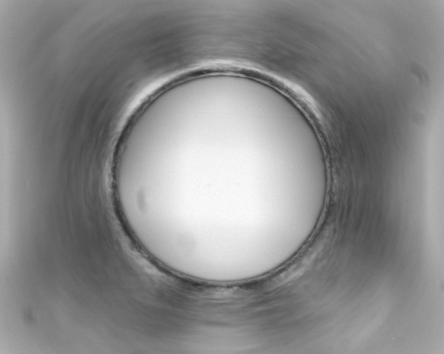 X0000111591279200907161145