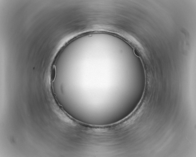 X0000111591280200907161145