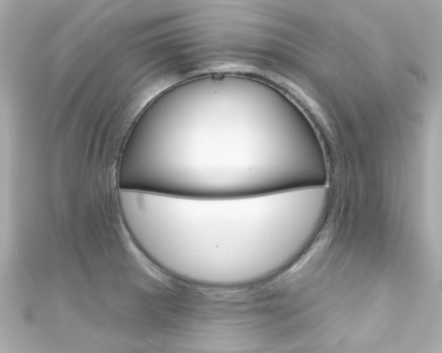 X0000111591281200907161145