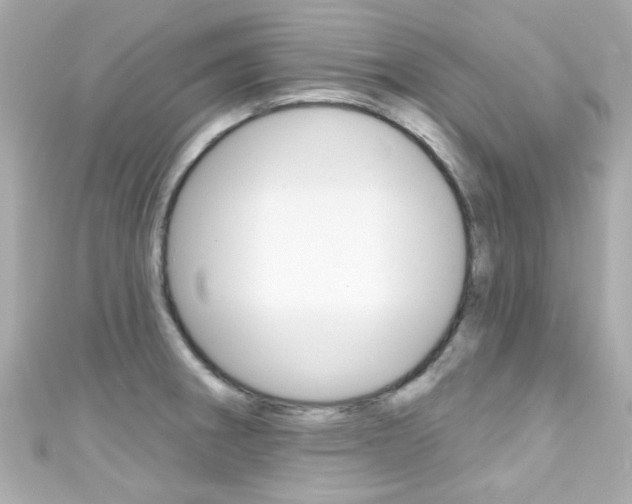 X0000111591282200907161145