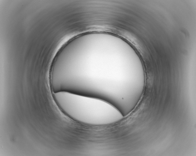 X0000111591283200907161145