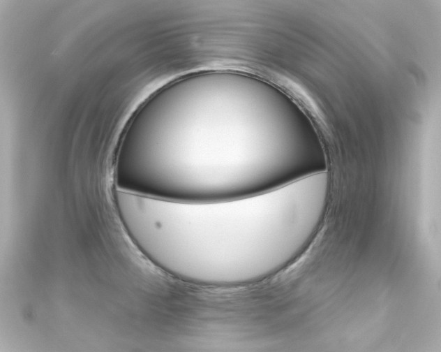X0000111591284200907161145