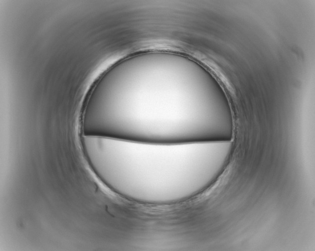 X0000111591285200907161145